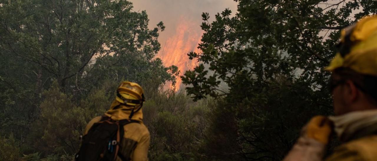 El cuento del (incendio) del león y del ratón