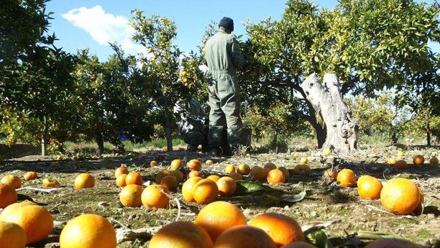 Condenados por explotar a un collidor en Burriana