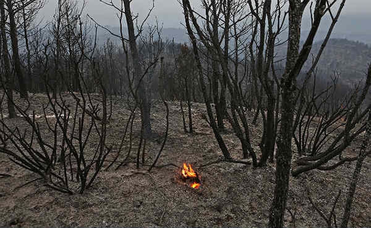 Equipos de extinción apagan las brasas tras el paso del fuego en Òdena (Anoia). 