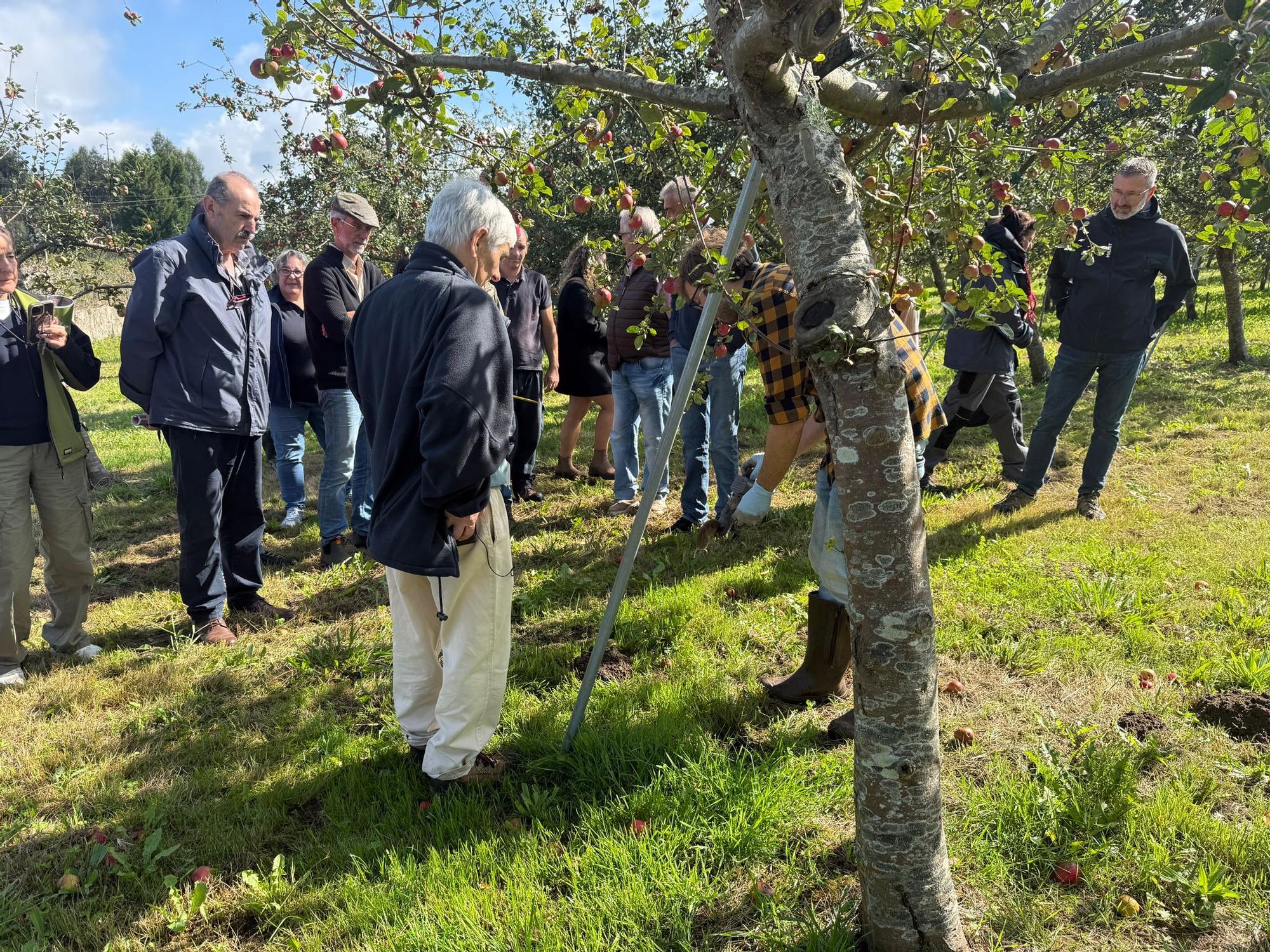 El SERIDA explica sobre el terreno las medidas de protección contra las plagas de roedores en pomaradas