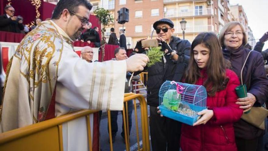 Desfile de animales en la fiesta de San Antonio Abad del pasado año.