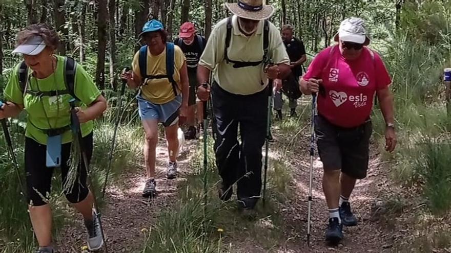 Un grupo de andarines en uno de los caminos de Santiago.