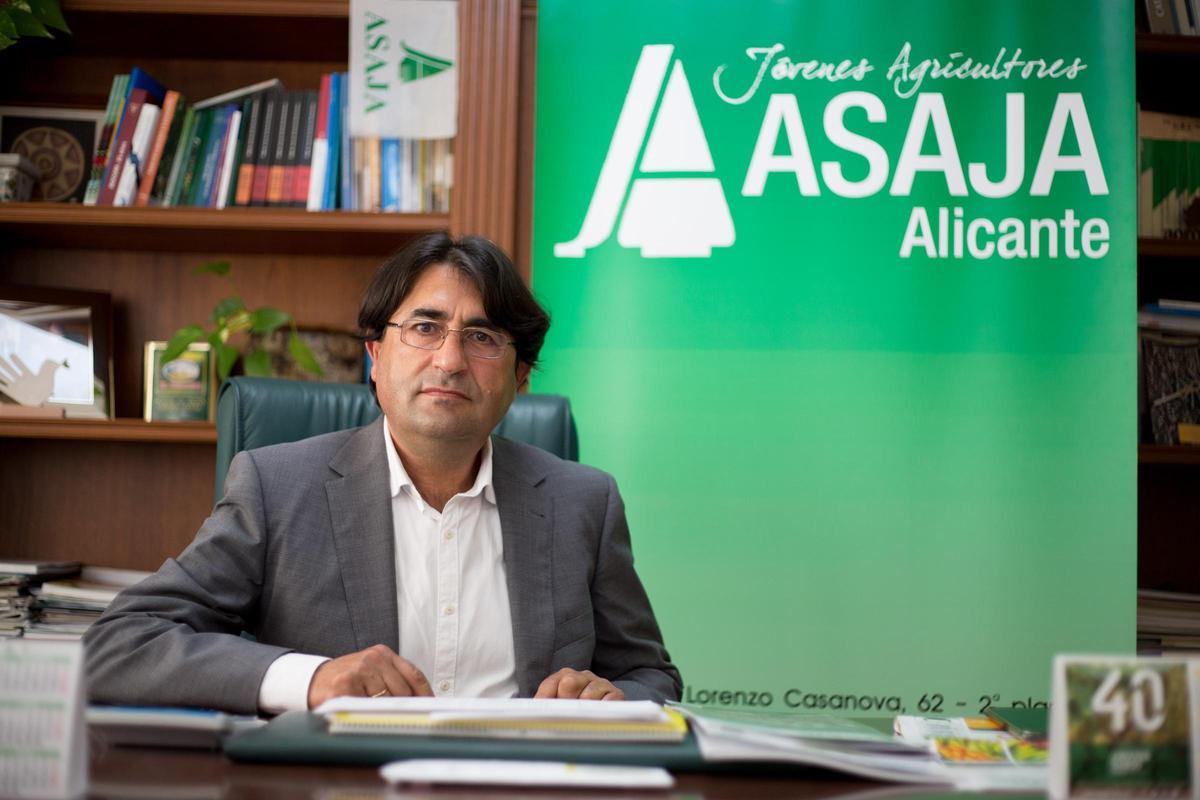 José Vicente Andreu, vicepresidente de ASAJA, en la sede de Alicante