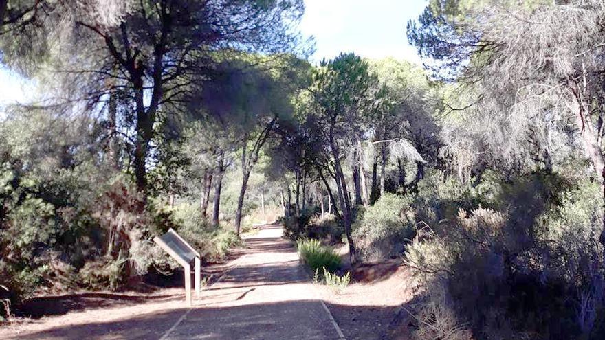 Denuncian en Marbella el grave deterioro del corredor verde de Las Chapas