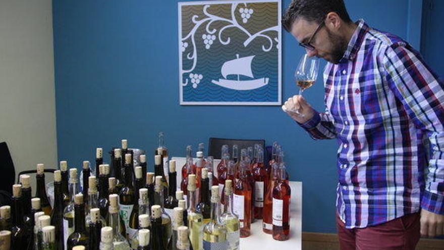 Tast de vins de la guia Peñín als vins DO Empordà