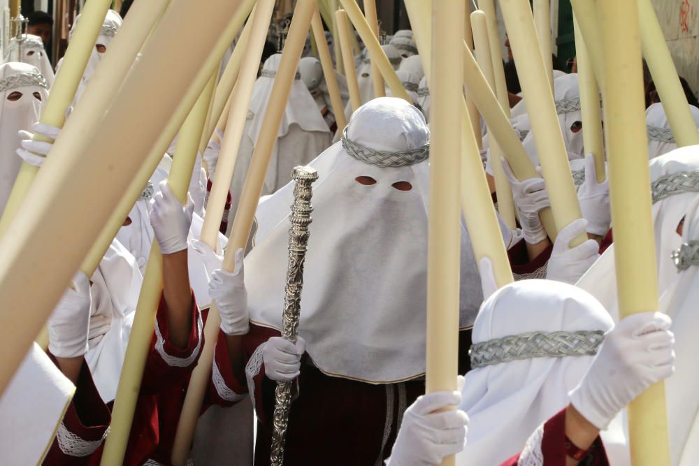 Lunes Santo | Gitanos