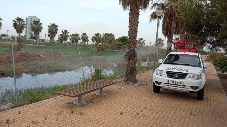 &#039;Guerra&#039; a los mosquitos: Ayuntamientos de Castellón refuerzan las fumigaciones terrestres