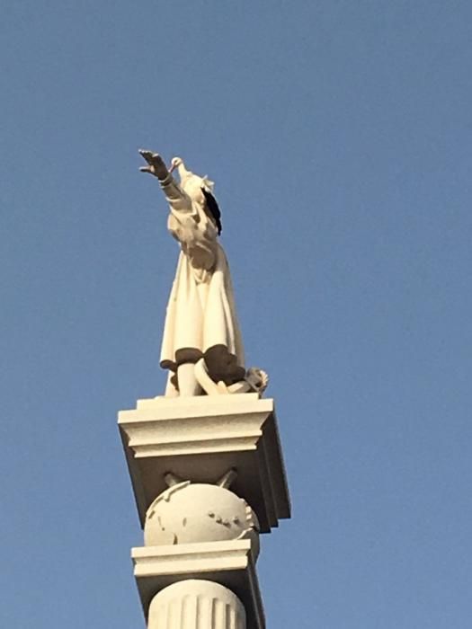 Una cigüeña 'veranea' en la estatua de Colón en Maspalomas