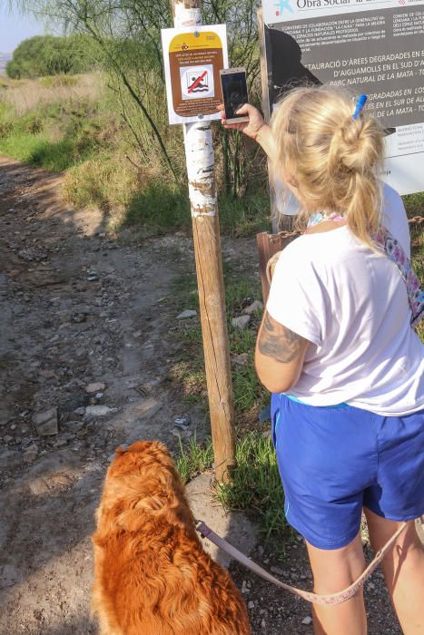 Guardia Civil y Policía cierran el paso a los bañistas en la laguna de Torrevieja. El personal del parque natural y agentes ambientales de la Generalitat informan sobre la prohibición de baño