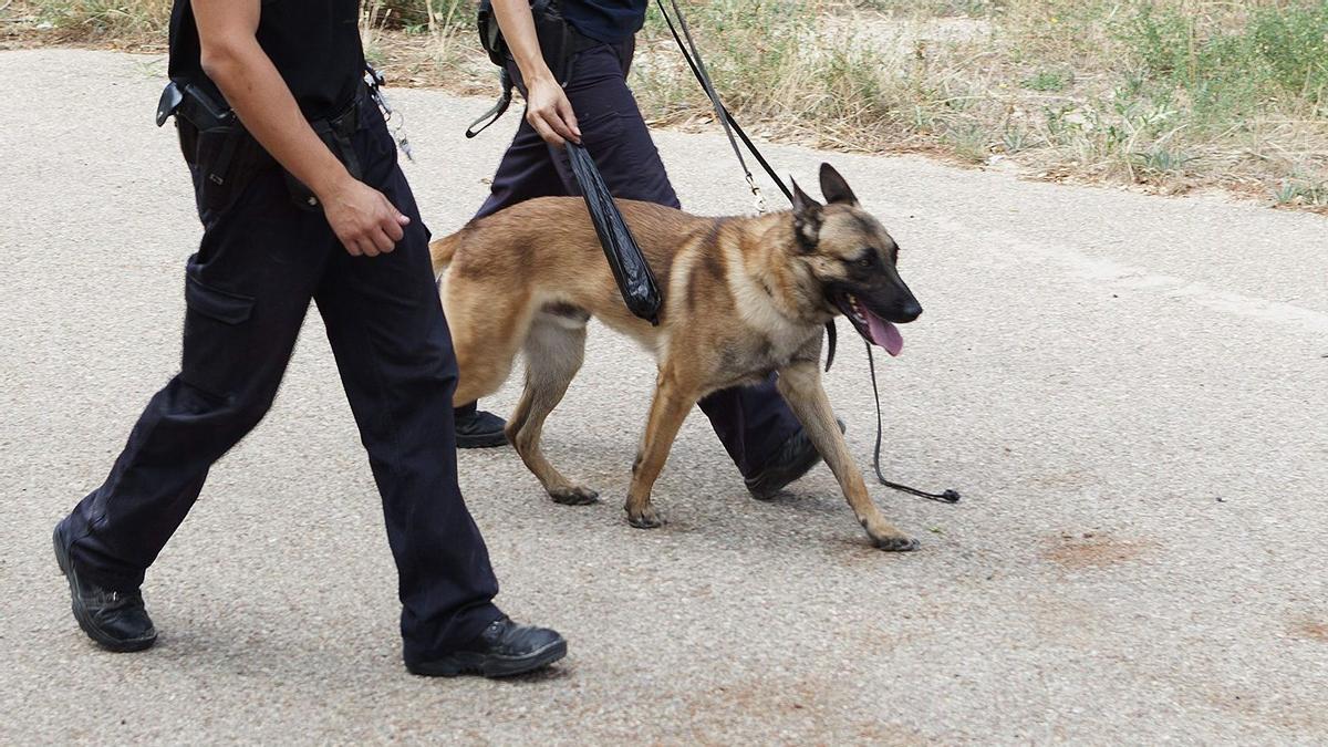 Una unidad canina de la Policía Nacional