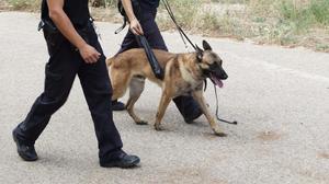 Una unidad canina de la Policía Nacional