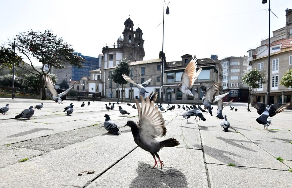 Coronavirus en Pontevedra: largo domingo de confinamiento