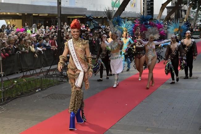 Carnaval de Las Palmas de Gran Canaria 2017: Cabaldrag