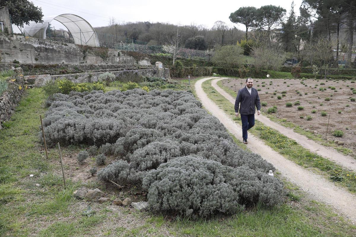 Marià Codina al jardí d'herbes aromàtiques que té la família al seu obrador.