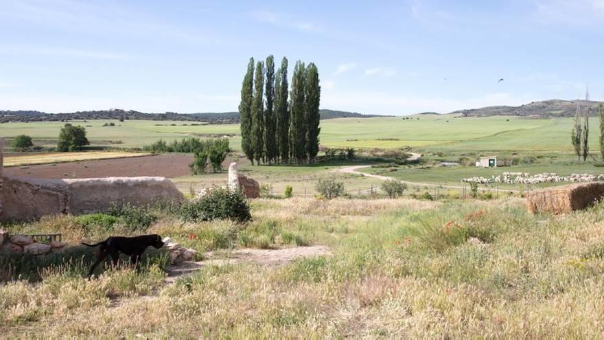 El paraje de La Junquera será una de las fincas afectadas por esta modificación del PGMO.