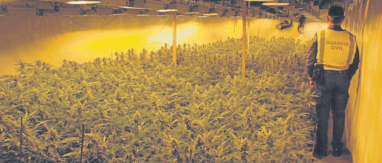 Plantació de marihuana «indoor» desmantellada fa uns mesos a  | GUARDIA CIVIL