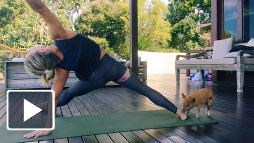 Elsa Pataky haciendo deporte en su jardín.