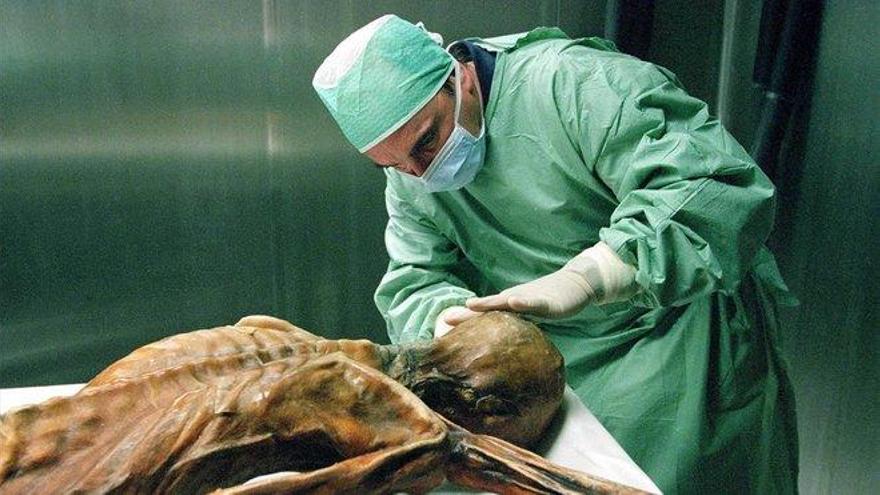 Ötzi, el hombre de hielo, murió acompañado de 75 especies de plantas