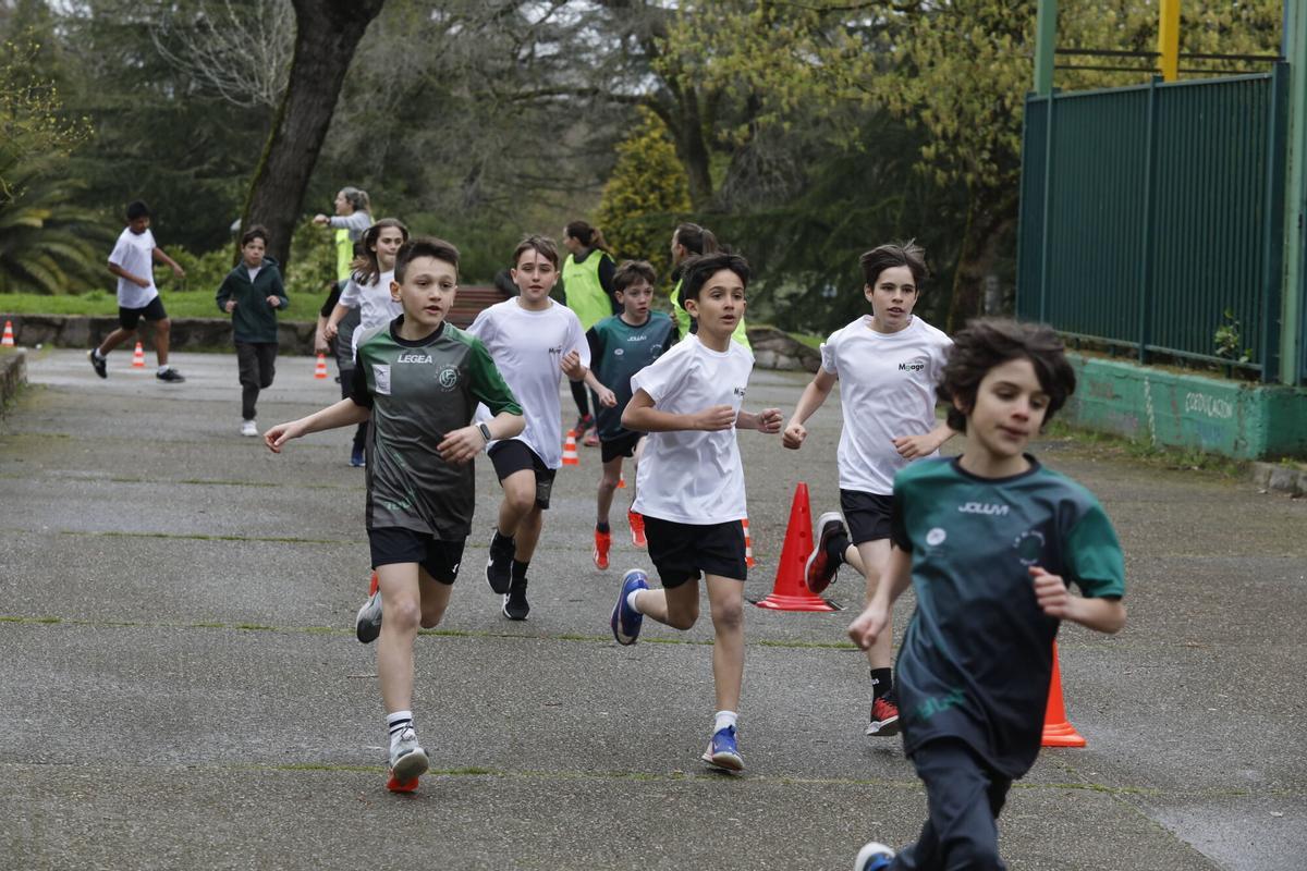 En imágenes: Participantes en la cross escolar del Marcelo Gago en homenaje a Dacal En imágenes: Participantes en la cross escolar del Marcelo Gago en homenaje a Dacal