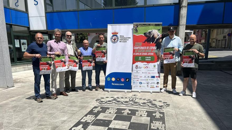 Ordes e Oroso acollerán o campionato de España de cans de rastro sobre xabaril