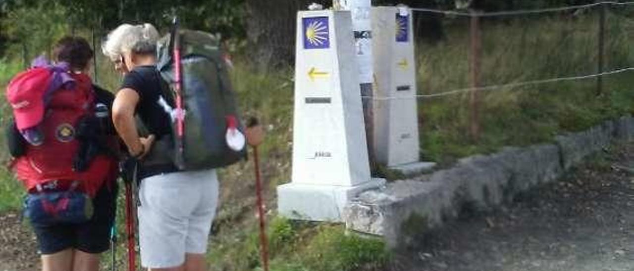 Peregrinas nórdicas despistadas por las señales en Tomeza. // G. S.