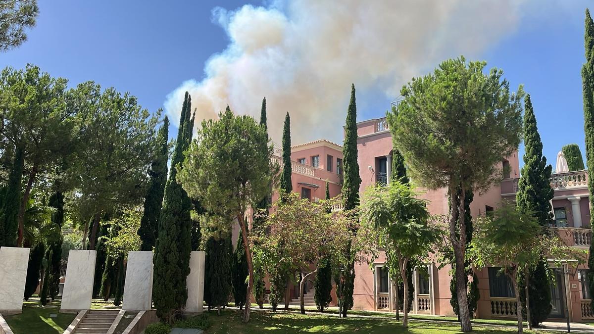 El incendio se ha originado en el entorno de la urbanización Montemayor de Estepona.