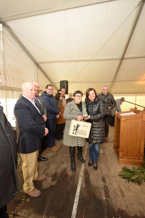 XXVII Certamen de Queso de Afuega'l Pitu en Morcín