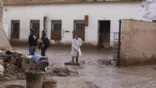 El 91 % de los empresarios de la Ribera ha cobrado las indemnizaciones del consorcio