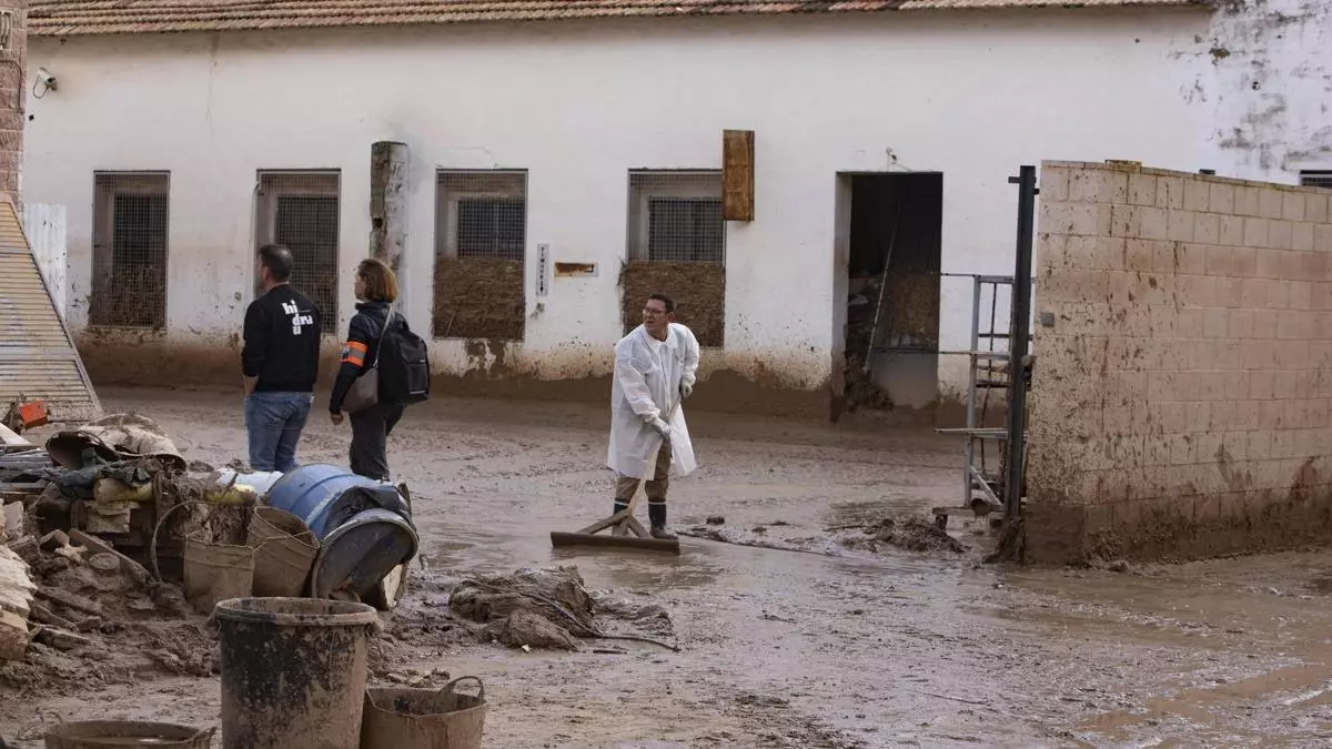 El 91 % de los empresarios de la Ribera ha cobrado las indemnizaciones del consorcio