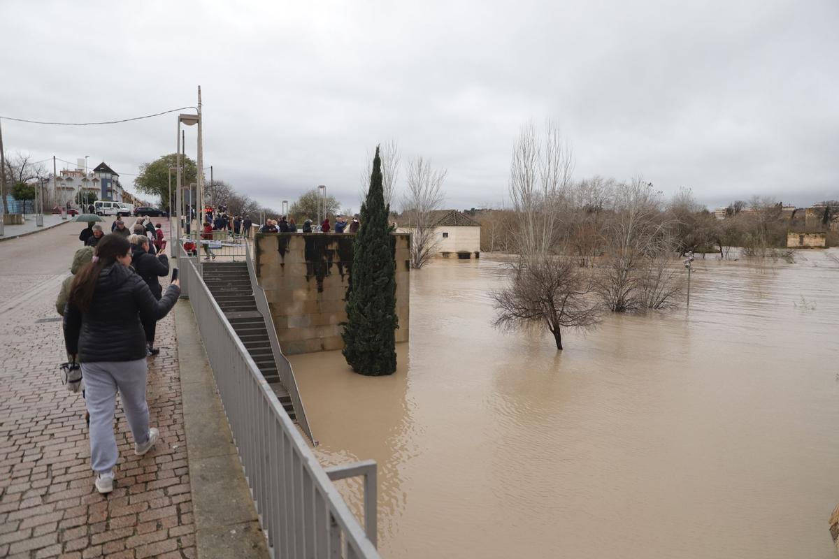 El río Guadalquivir supera los 5,5 metros a su paso por Córdoba