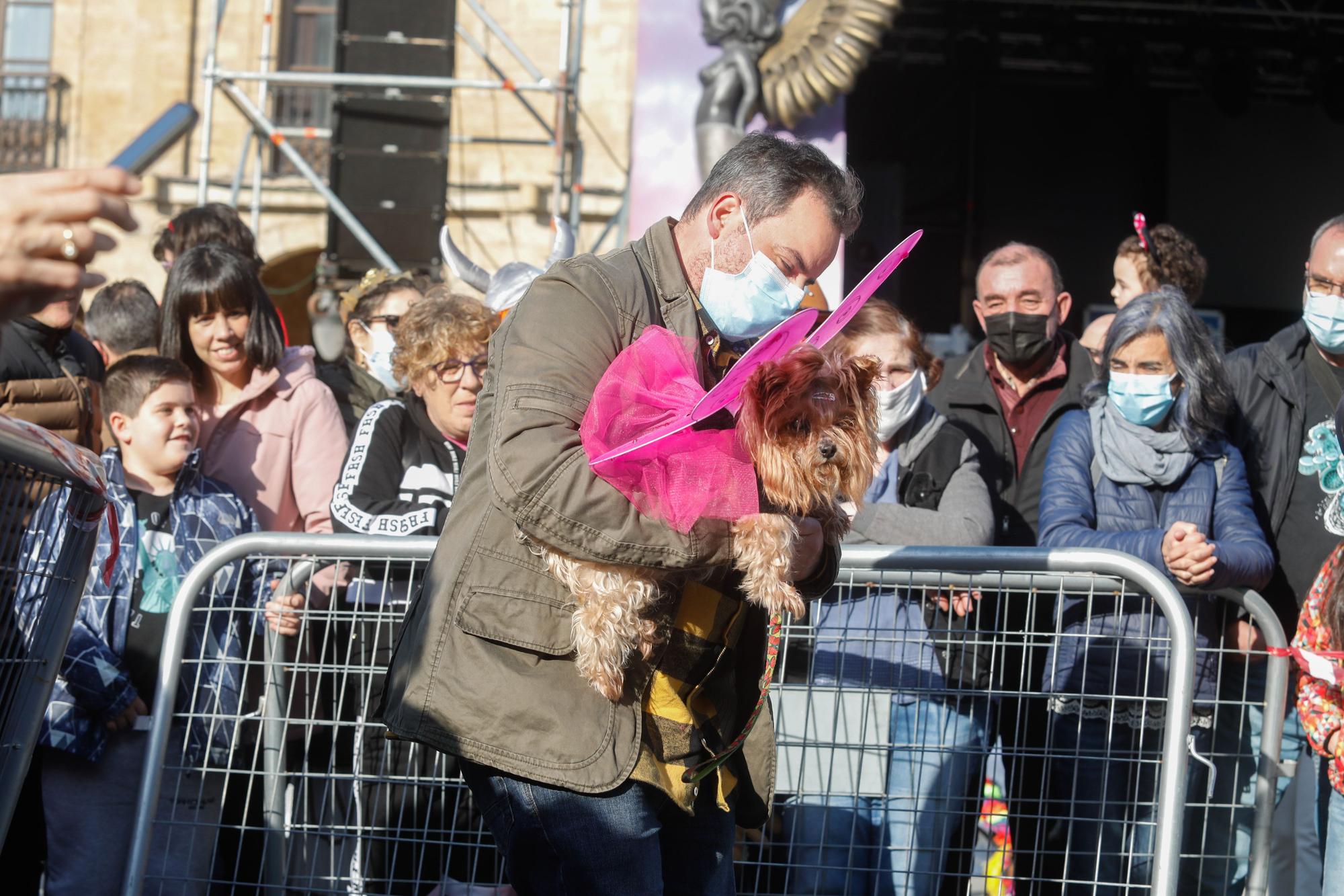 El domingo de Antroxu en Avilés: perros y coches, disfrazados