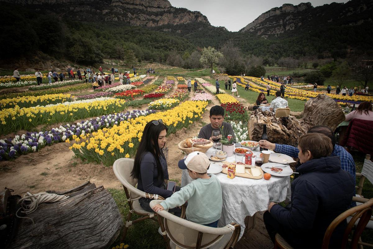 El jardín viral de Barcelona con más de 250.000 flores