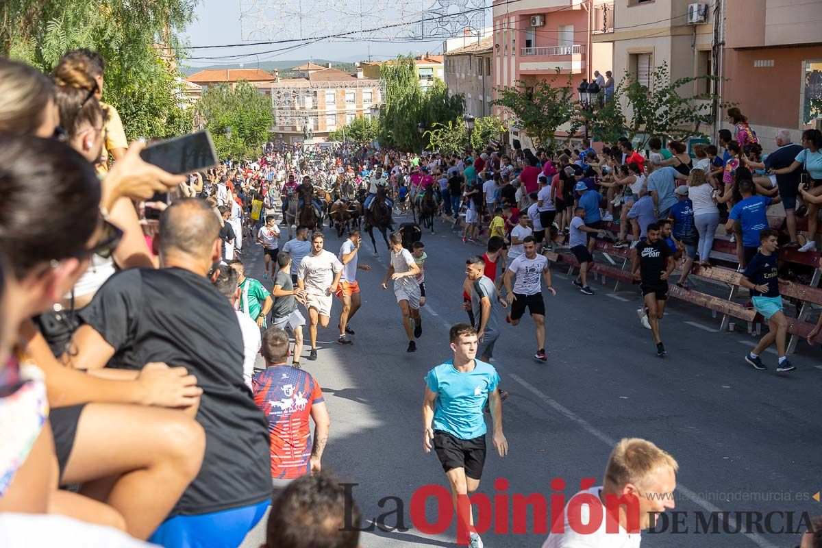 Octavo encierro en las Fiestas de Moratalla