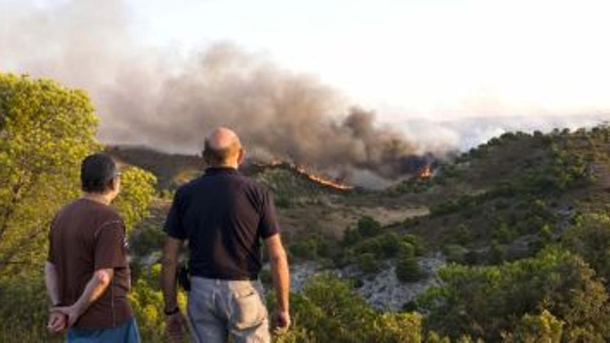 La descoordinación inicial facilitó que el fuego arrasara San Gregorio