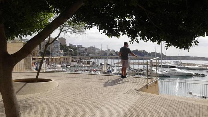 Migajas de mar para los palmesanos