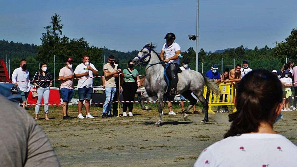 Más de 100 jinetes en Abegondo por el campeonato de andadura | LA OPINIÓN