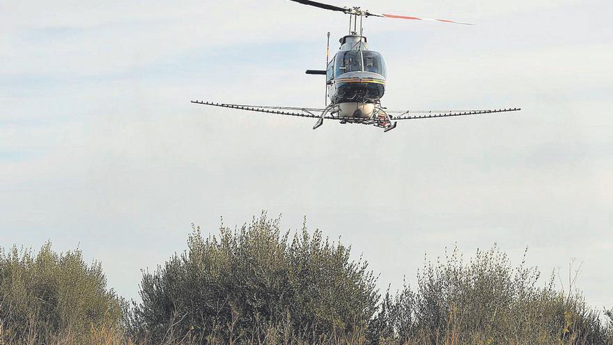 Dos empresas pujan por los vuelos antimosquitos extra de la Diputación de Castellón