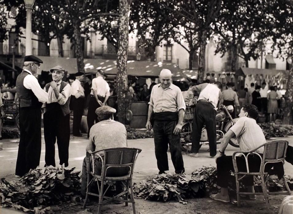 El mercat de Banyoles al detall