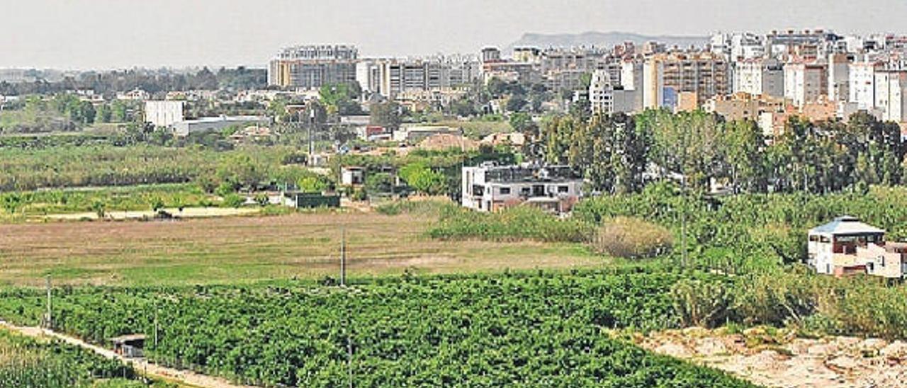 Gandia insta al Consell a que se pronuncie  sobre la anulación del campo de golf del Marjal