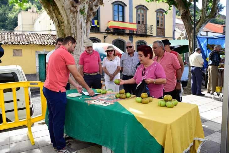 Fiesta de la manzana de Valleseco