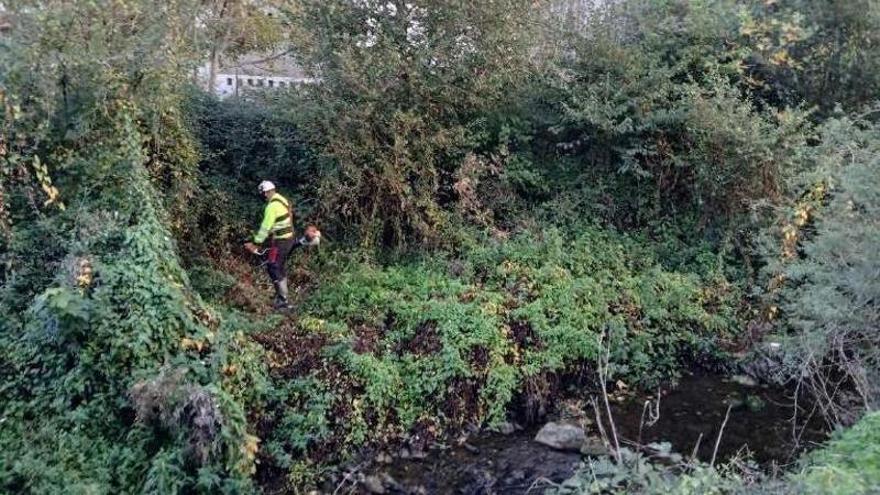 La Confederación Hidrográfica del Cantábrico mejora el arroyo Tiraña en Laviana con una inversión de 27.000 euros
