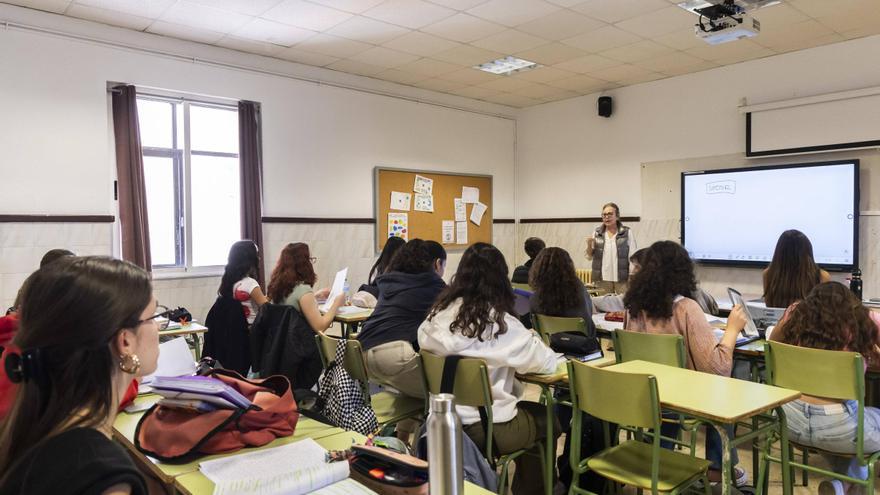 Familias y sindicatos denuncian que no les han dejado votar el distrito único en el Consejo Escolar de València