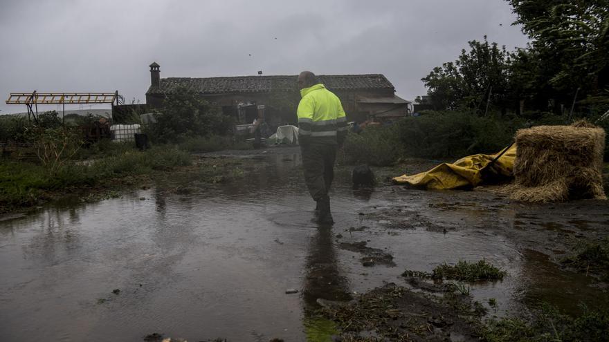 La llegada de la borrasca Bernard: alerta amarilla por lluvia y viento en Extremadura este domingo