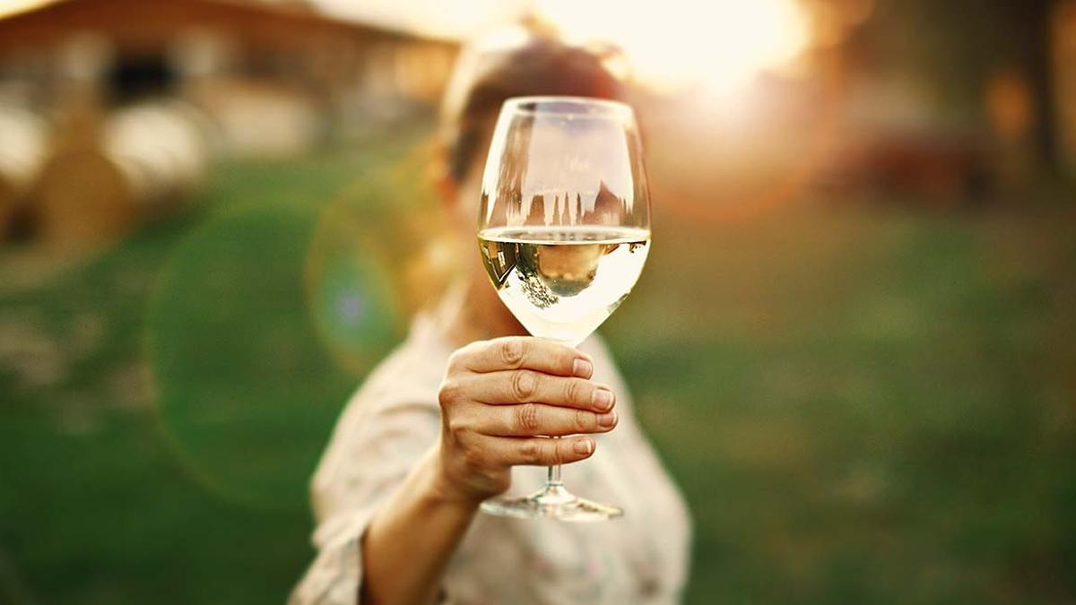 Esta primavera, Casa Gourmet te propone tres vinos blancos gastronómicos y monovarietales.