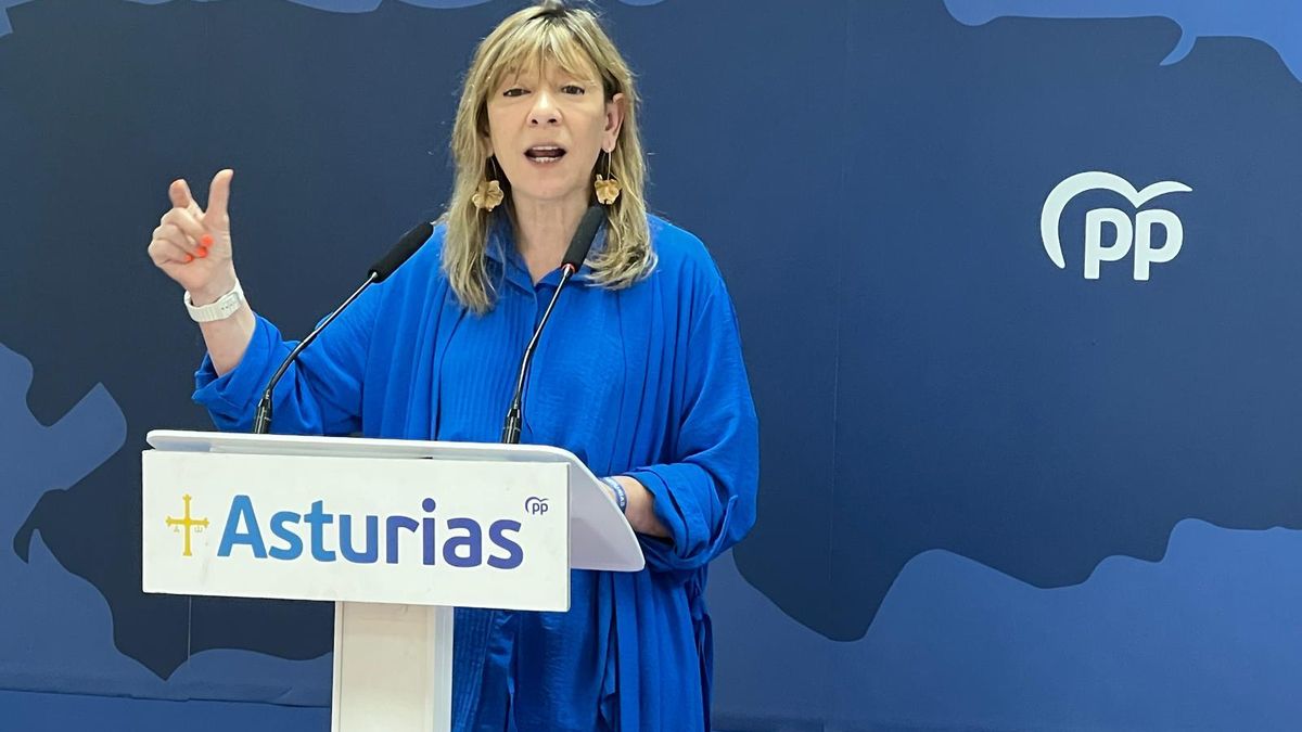 Esther Llamazares respalda el rechazo al decreto antiapagones: “es un parche más, muy caro y a muy largo plazo”