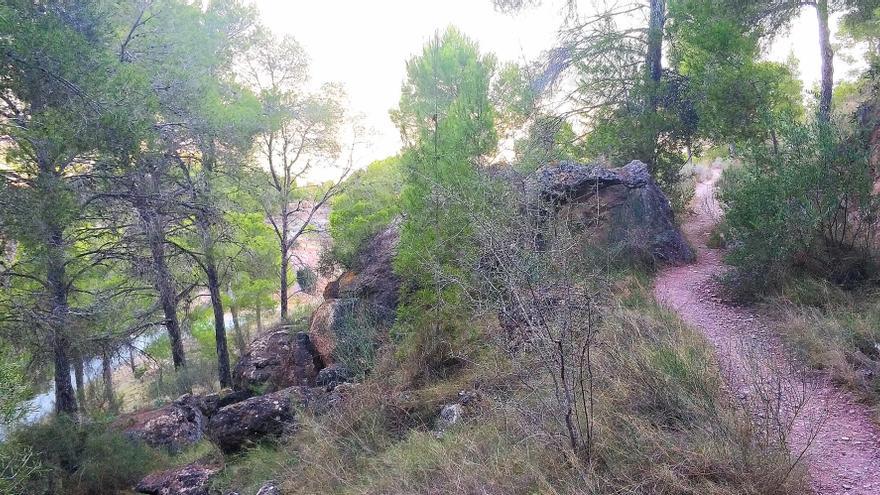 Los Bomberos rescatan a un ciclista de una zona forestal en Murcia