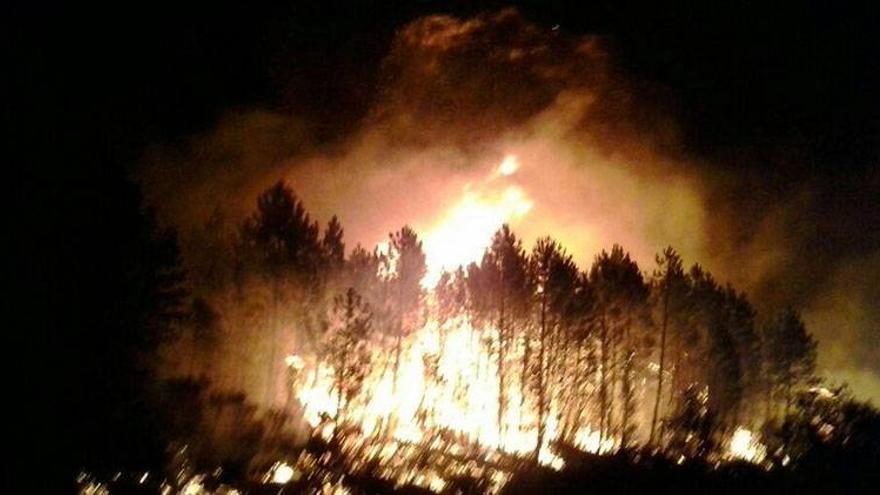 Controlado un incendio en una zona de pinares y olivares de Valverde del Fresno