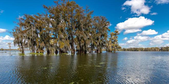 lago Martin, Lafayette, Louisiana