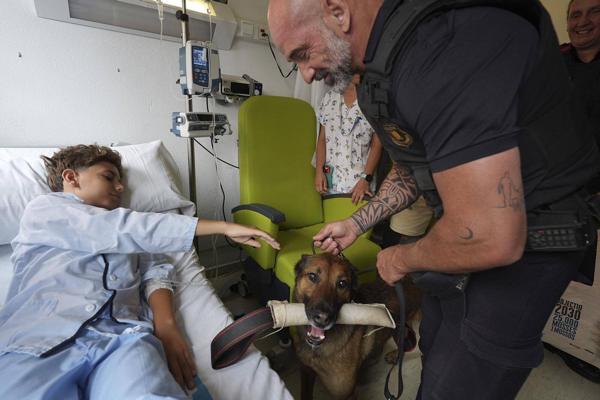 Les imatges dels Mossos d’Esquadra al Trueta per donar suport a la recerca pediàtrica