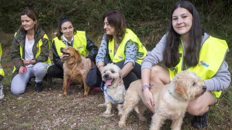 Nos vamos de paseo con los perros del refugio de Vigo